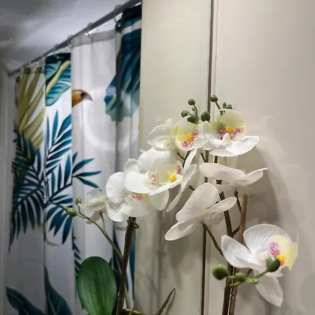 Allatini Sea View Saloniki